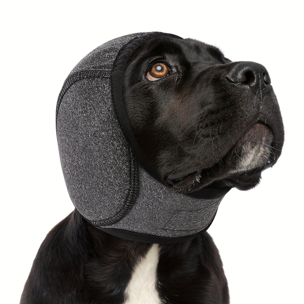 Calmante para perros